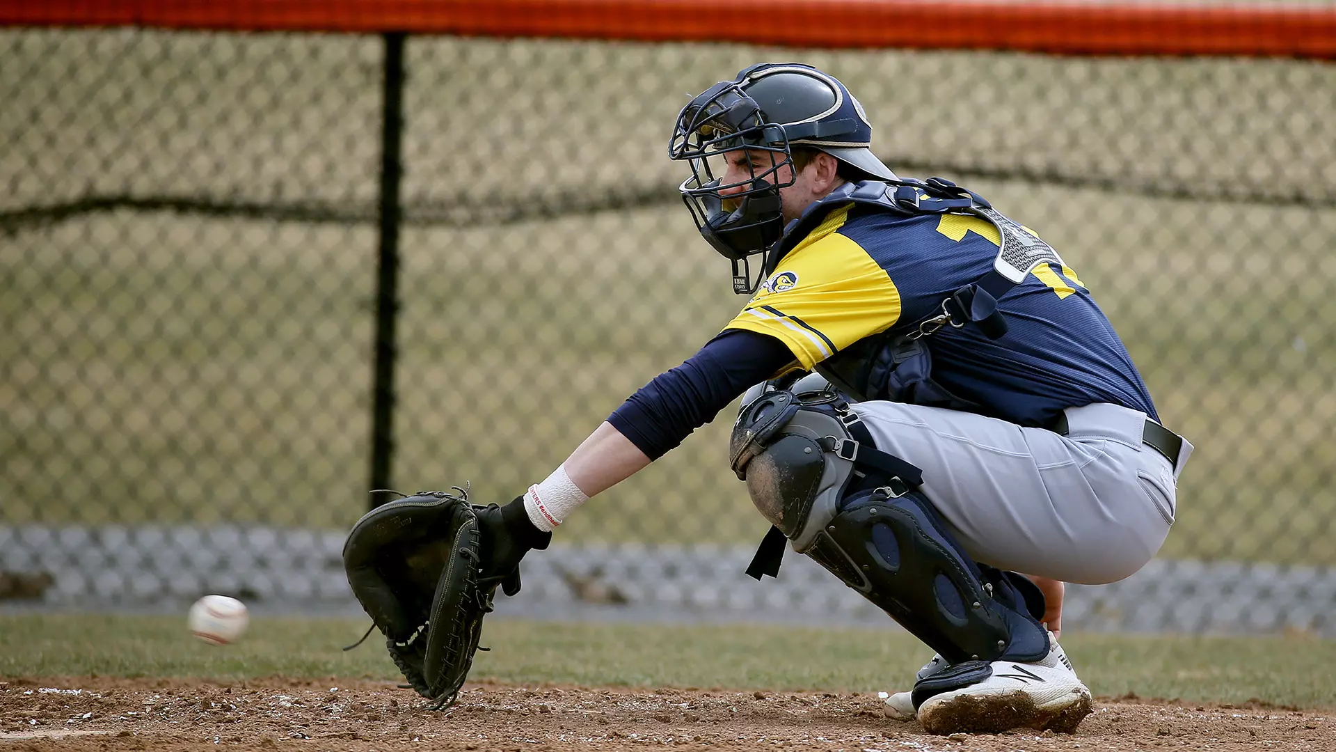 Dave Rieth David Rieth - Baseball - University of Rochester Athletics