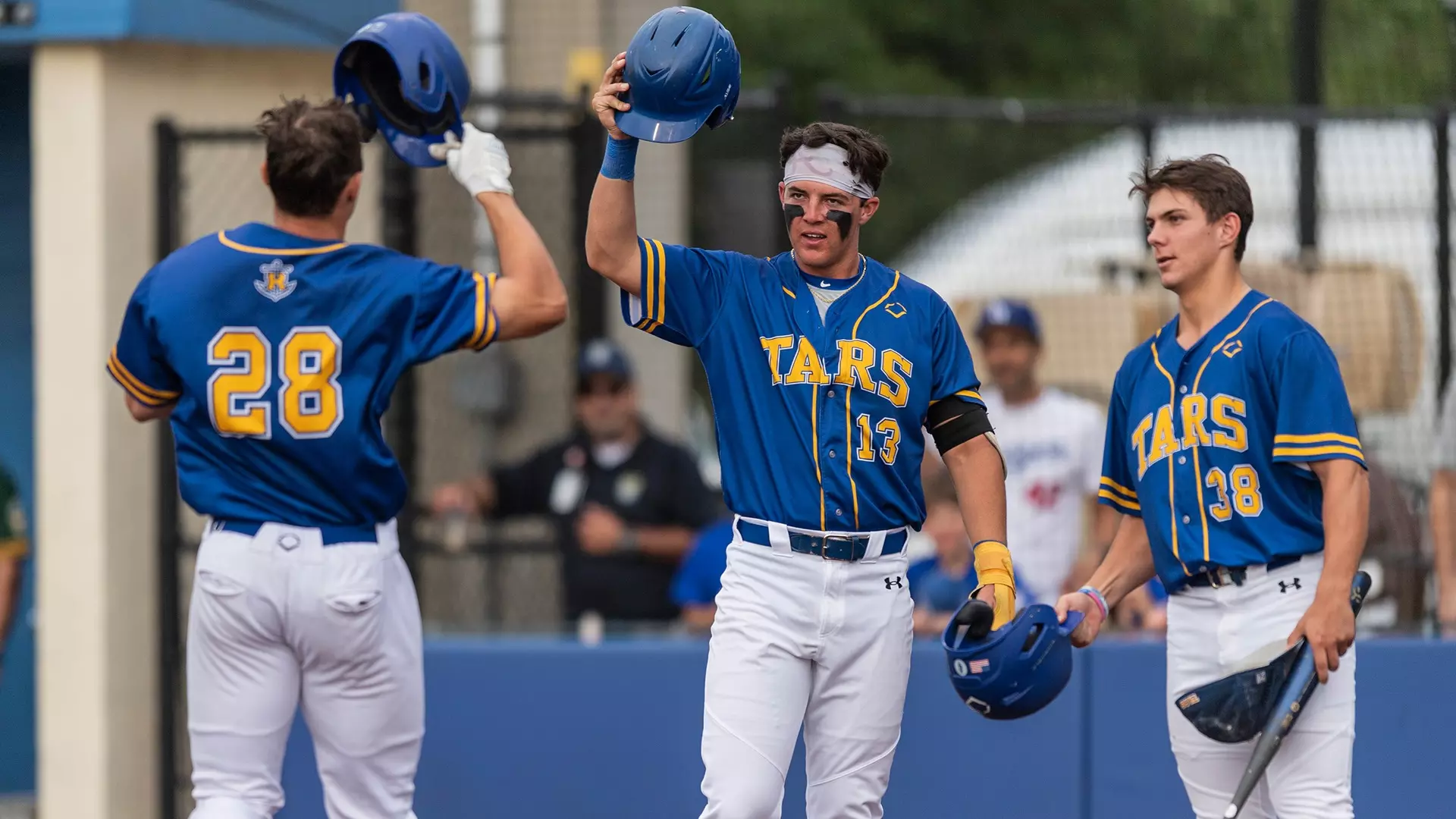 Jimmy Thies 2025 Baseball Rollins College jimmy-thies-2025-baseball-rollins-college