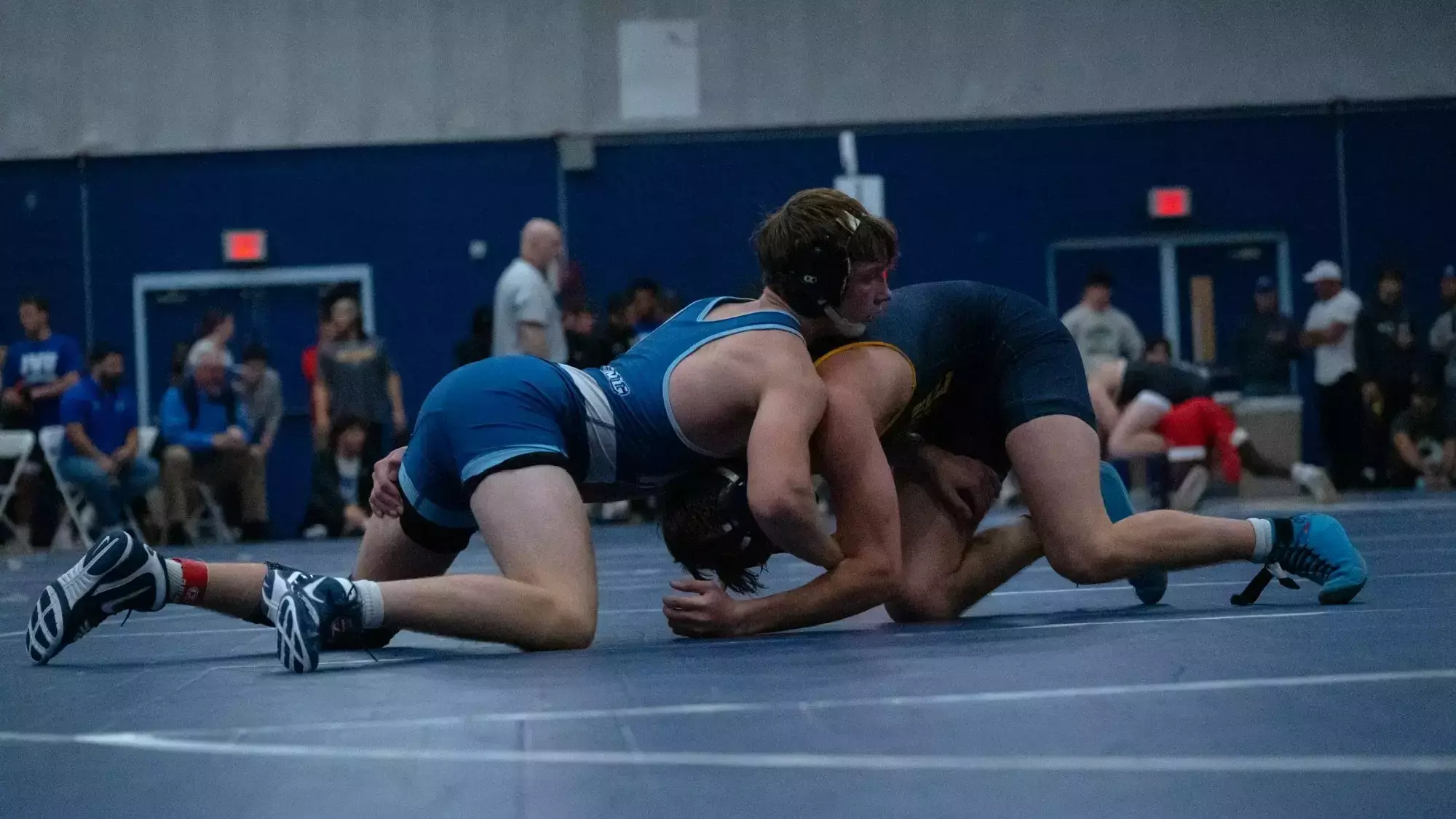 Connor Forte Braydon Wilding - 2025-26 - Wrestling - Roger Williams University Athletics