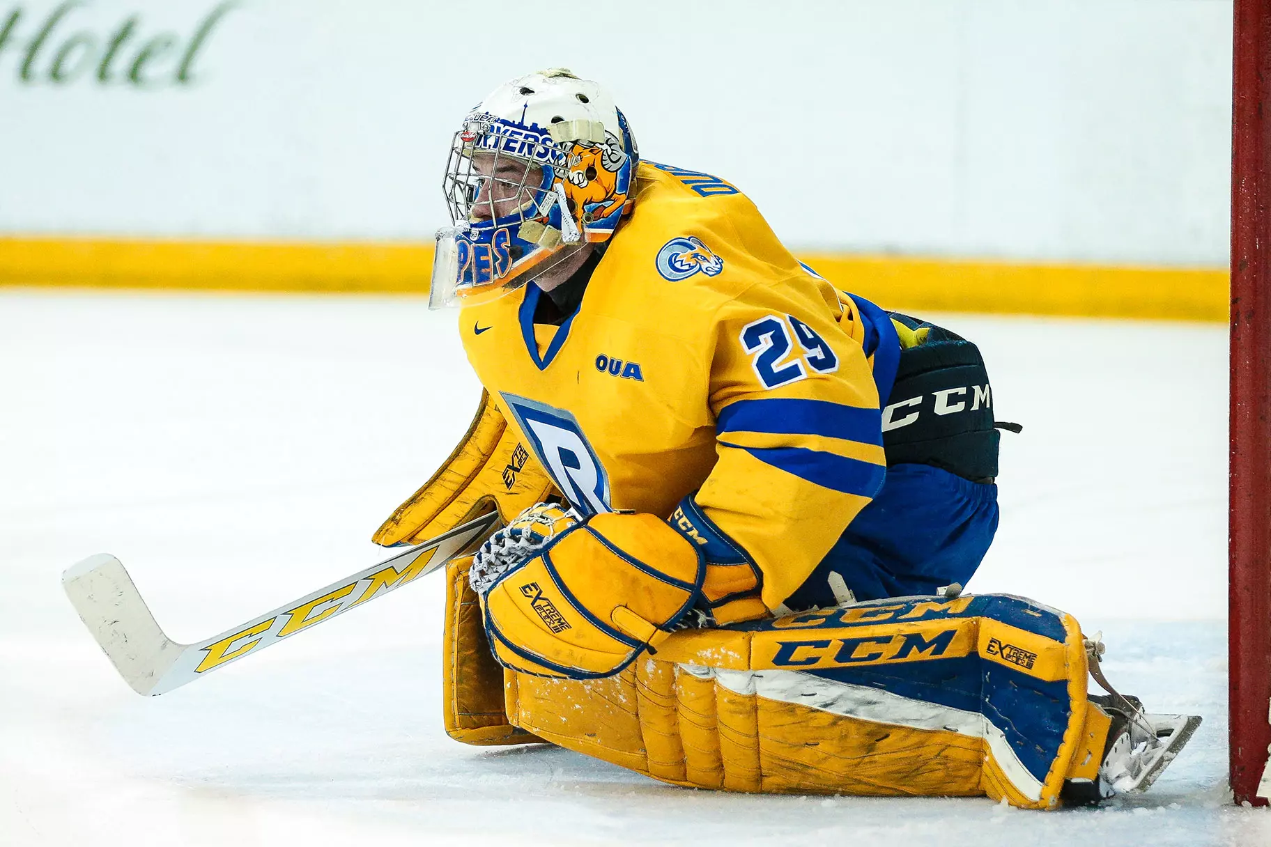 Tmu Hoco Taylor Dupuis - 2019-20 - Hockey (M) - TMU Athletics & Recreation