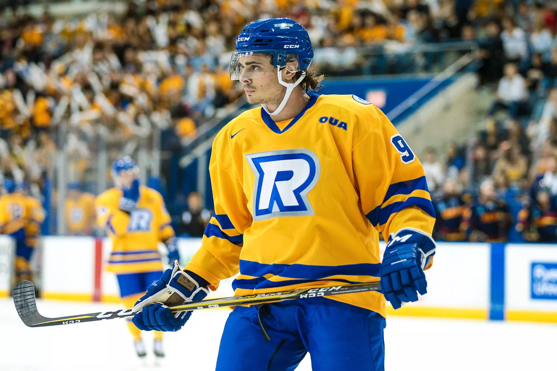 Tmu Hoco Mathew Santos - 2020-21 - Hockey (M) - TMU Athletics & Recreation