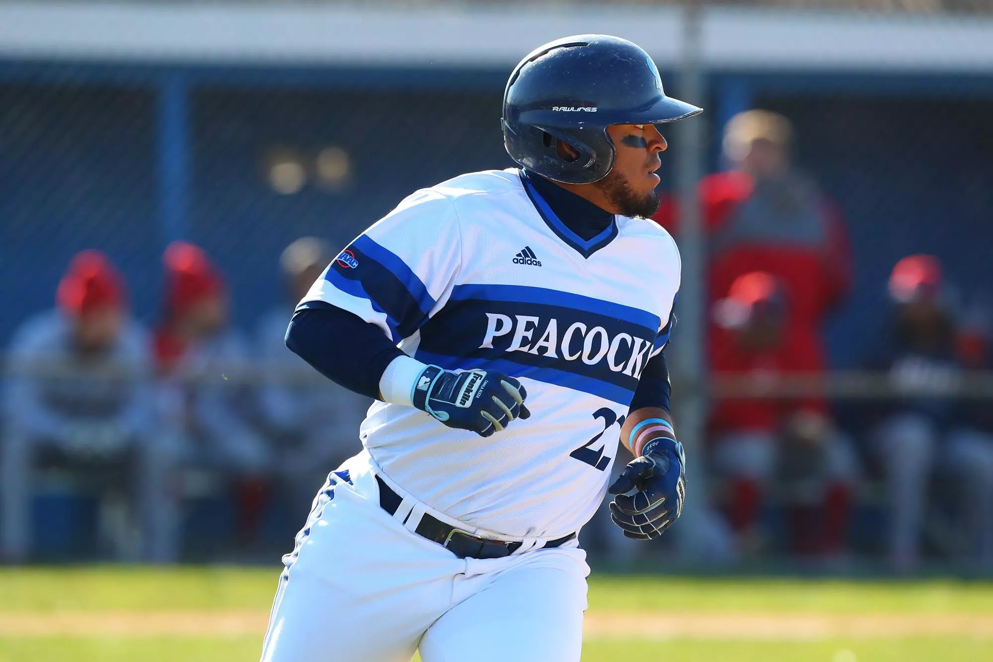 Jared Quinteros Jared Quintero - Baseball - Saint Peter's University Athletics