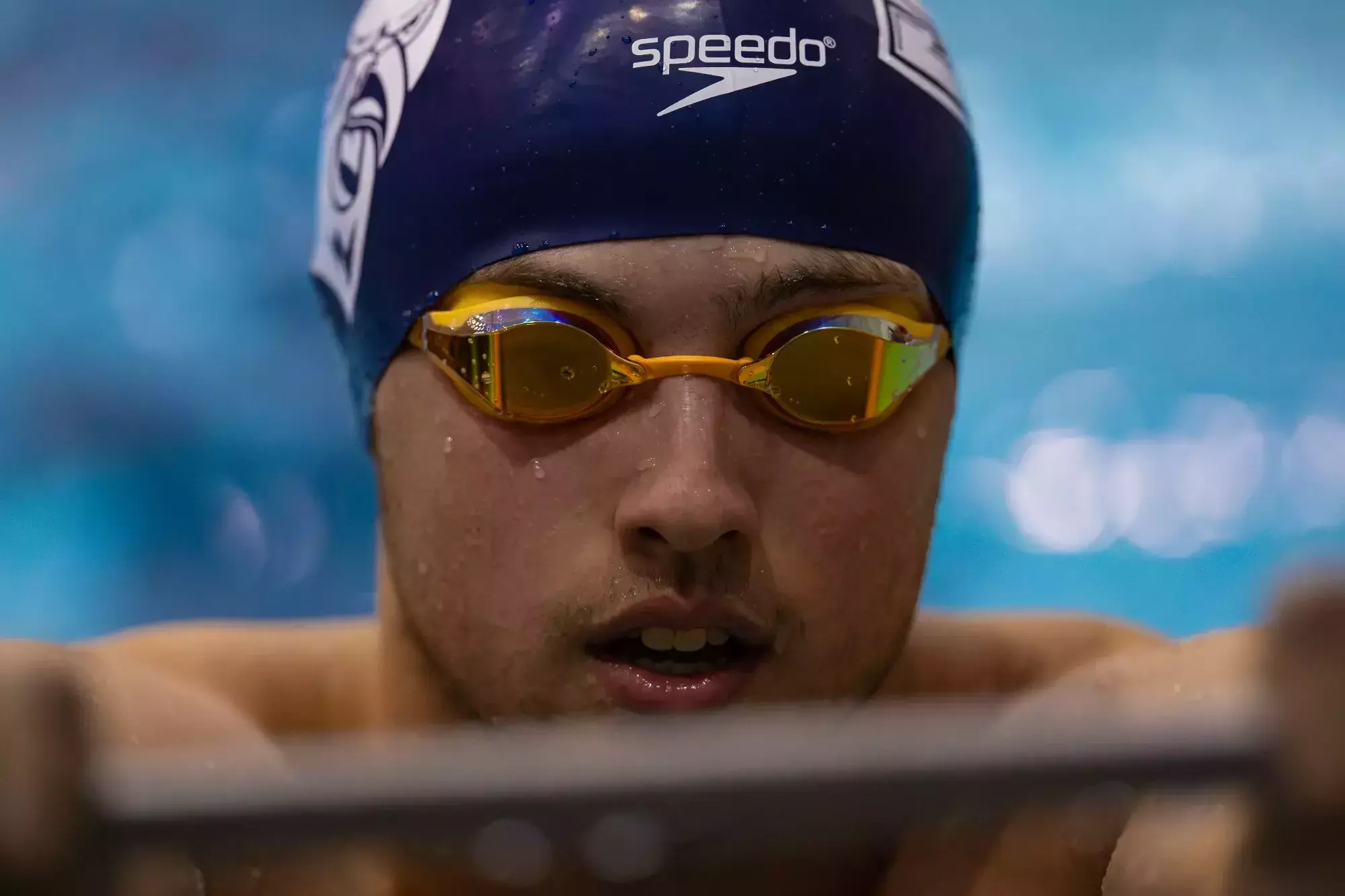 SCSU Men's Swimming and Diving Bests College of Staten Island for First ...