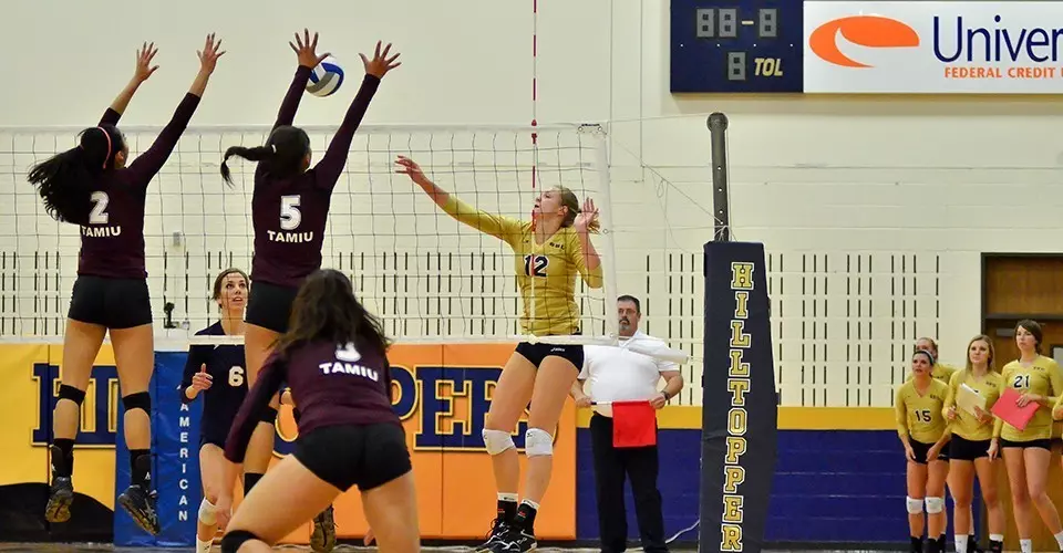 Hannah Rauch Hannah Rauch - Women's Volleyball - St. Edward's University Athletics