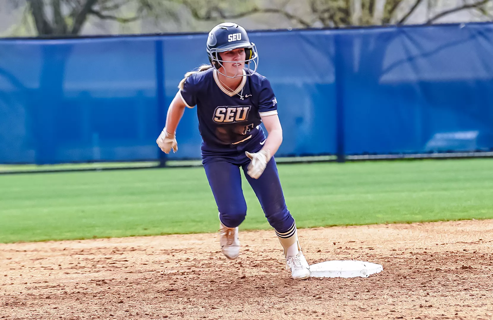 Dillon Softball Katie Dillon - Softball - St. Edward's University Athletics