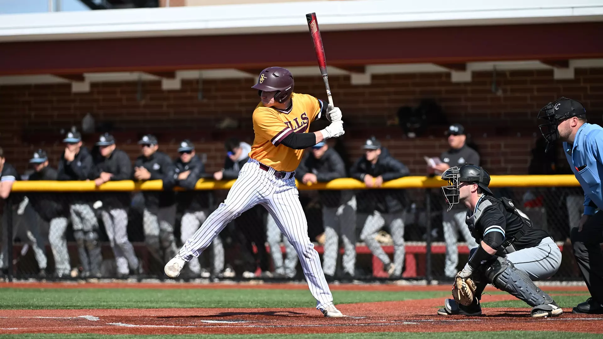 No. 7 Baseball conquers Cairn, 7-2 - Salisbury University