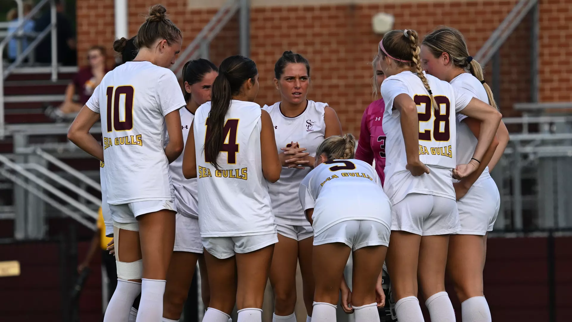 Women’s Soccer falls to No. 2 William Smith - Salisbury University
