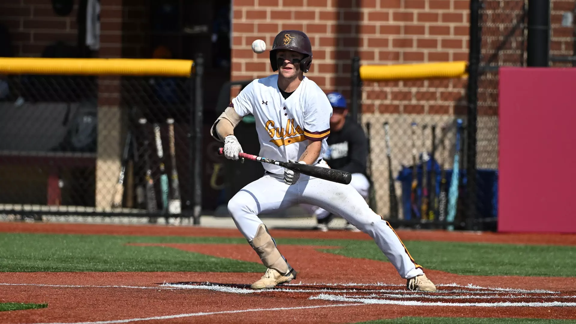 No. 13 Baseball outclasses Neumann, 14-5 - Salisbury University