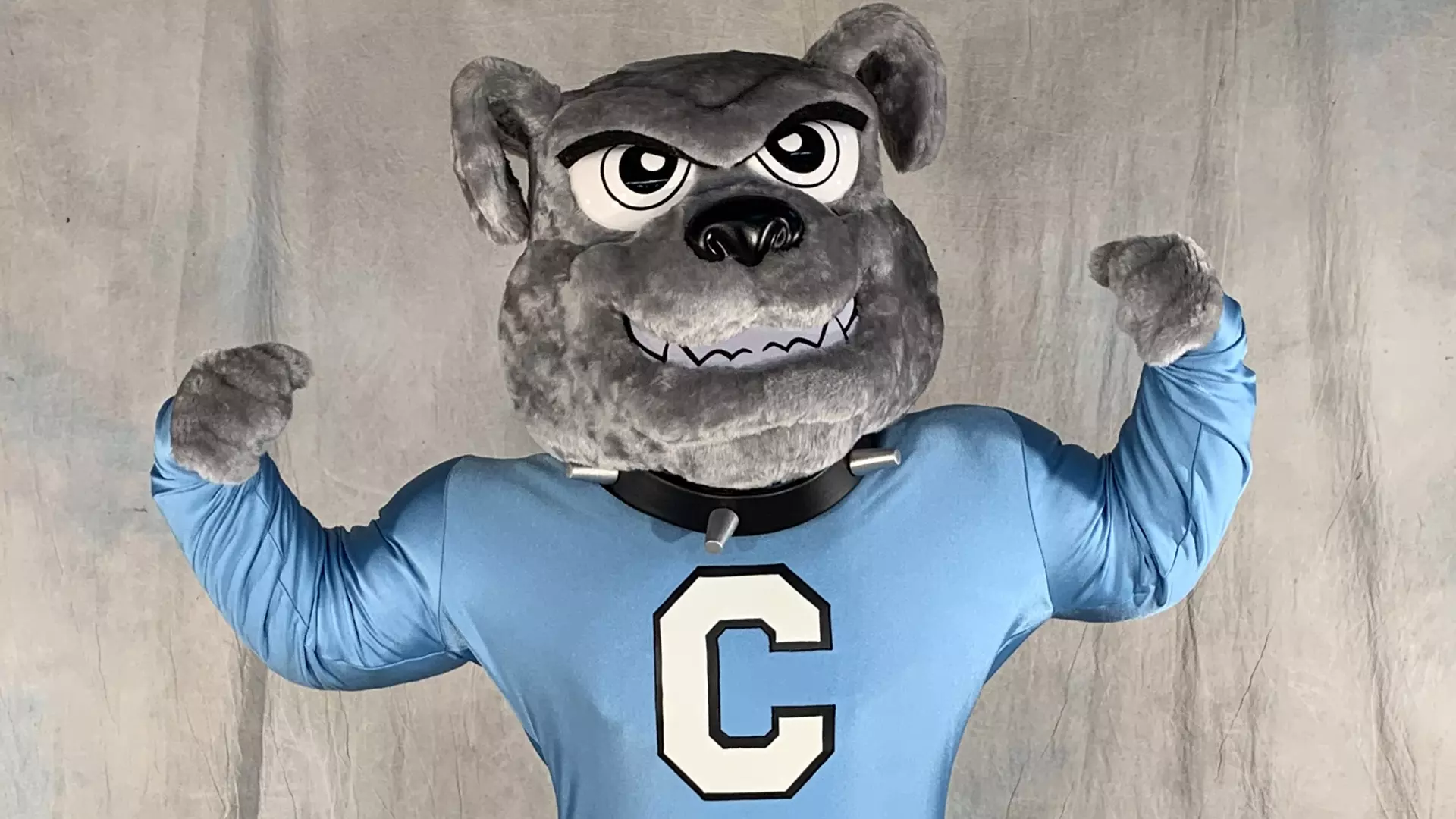 Citadel Athletics Unveils New Spike T Bulldog Mascot Uniform The citadel-athletics-unveils-new-spike-t-bulldog-mascot-uniform-the
