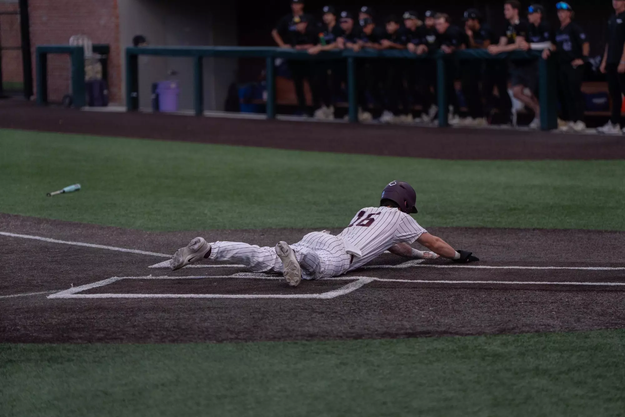 Trinity Baseball Feild Tiger Baseball Edged by Concordia Tuesday Night - Trinity University