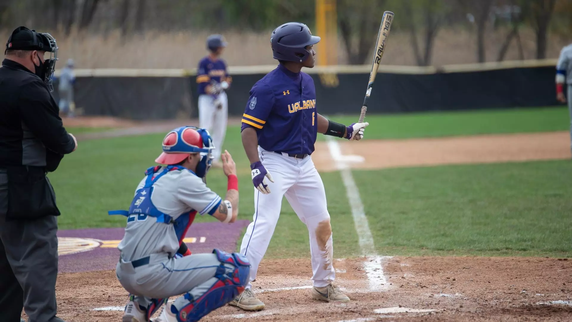 Josh Slaney Josh Salandy - 2023 - Baseball - University at Albany Great Danes