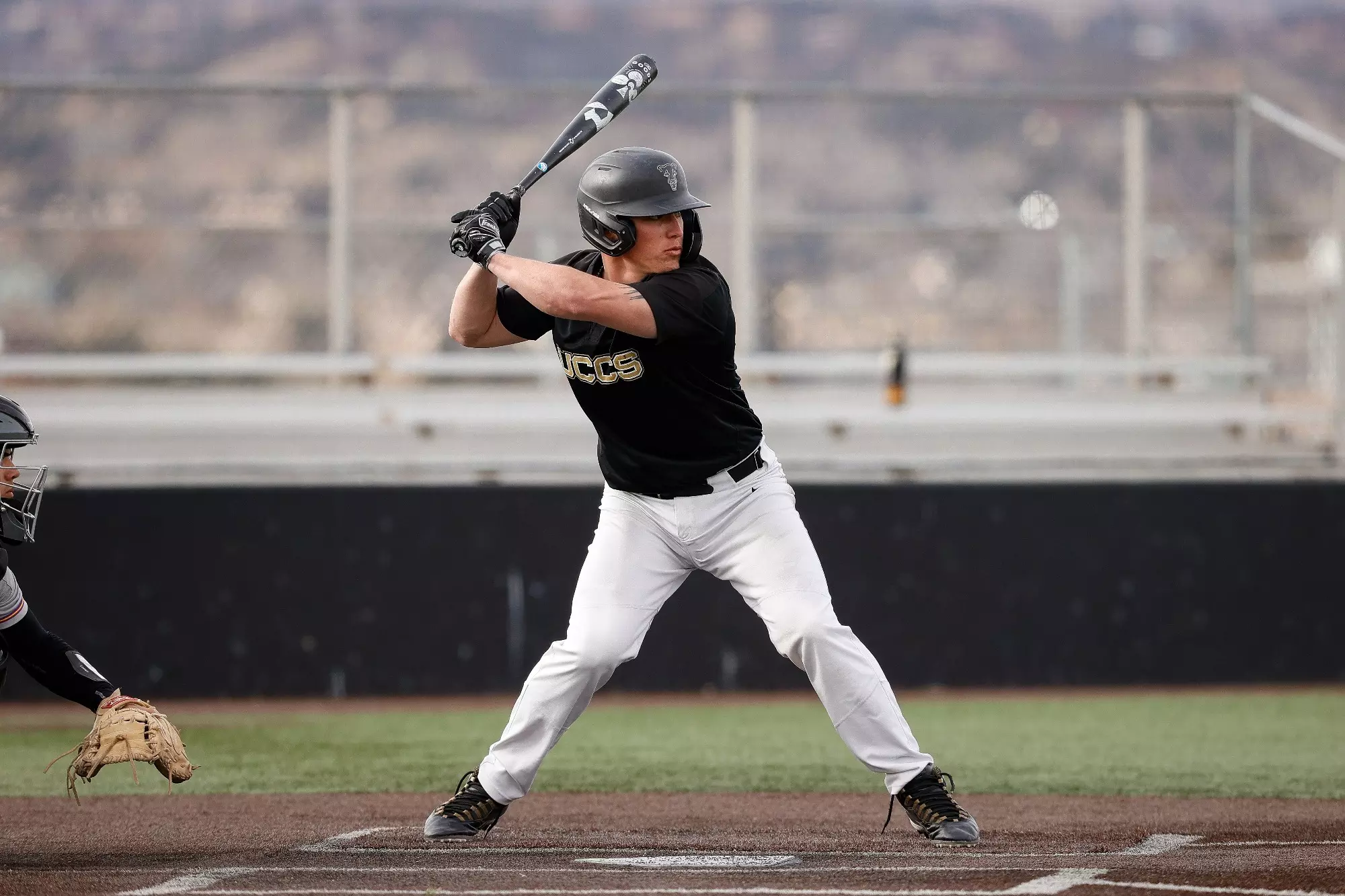Tyler Richardson Incode Tyler Richardson - Baseball - UCCS Athletics