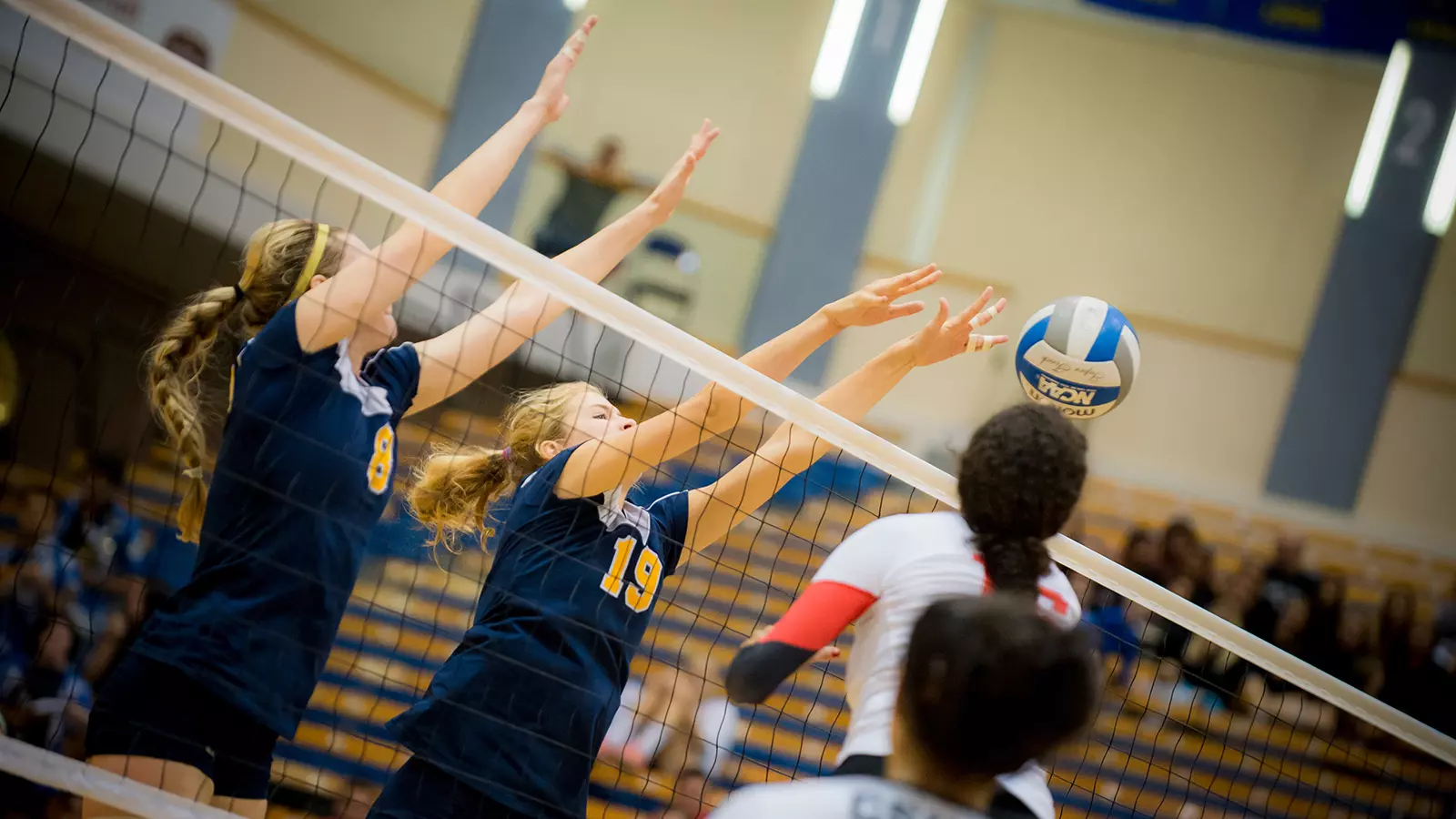 Ucsd Wolves Tritons Swept by Seawolves - UC San Diego
