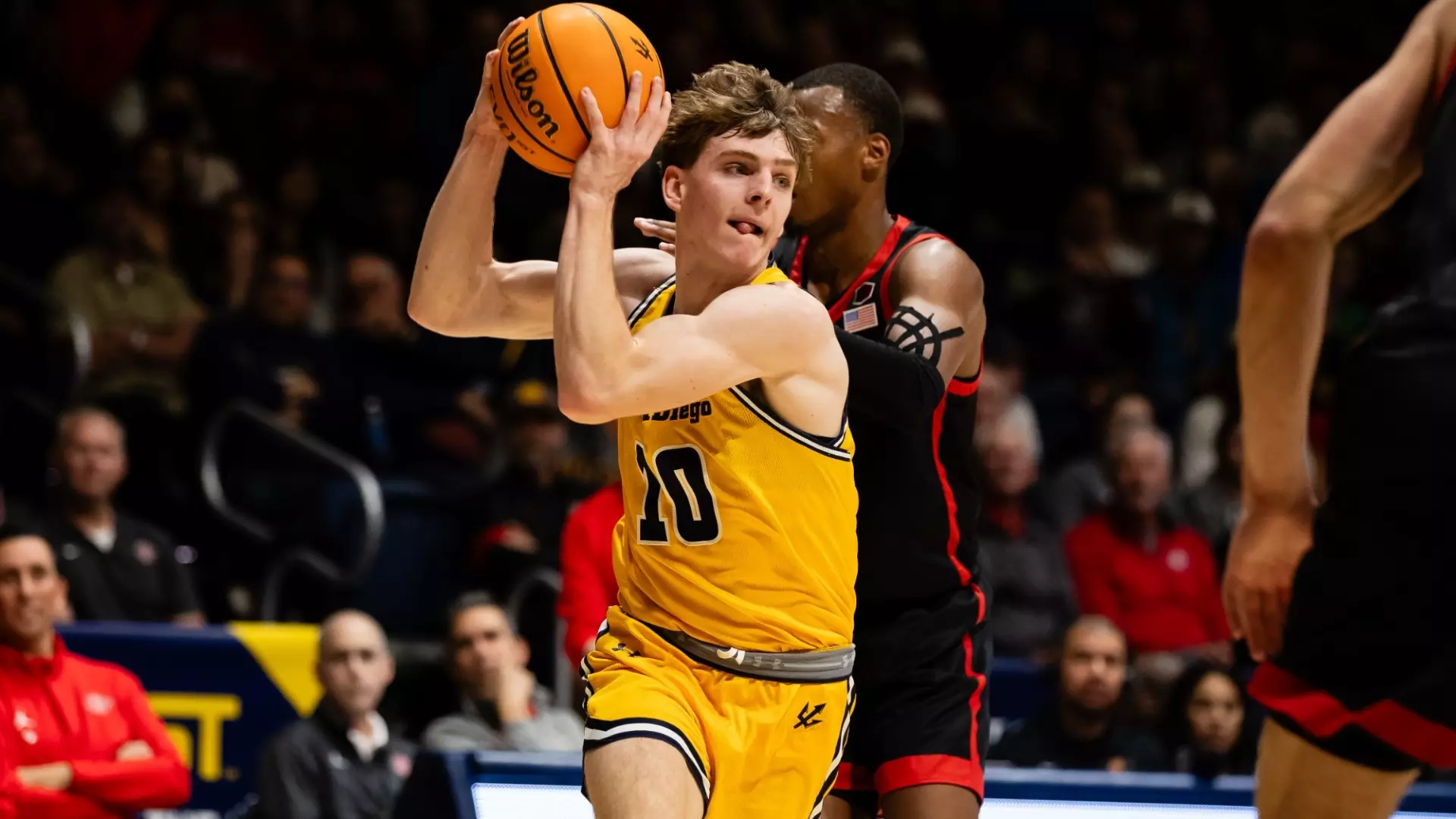 Hayden Gray 202425 Men's Basketball UC San Diego