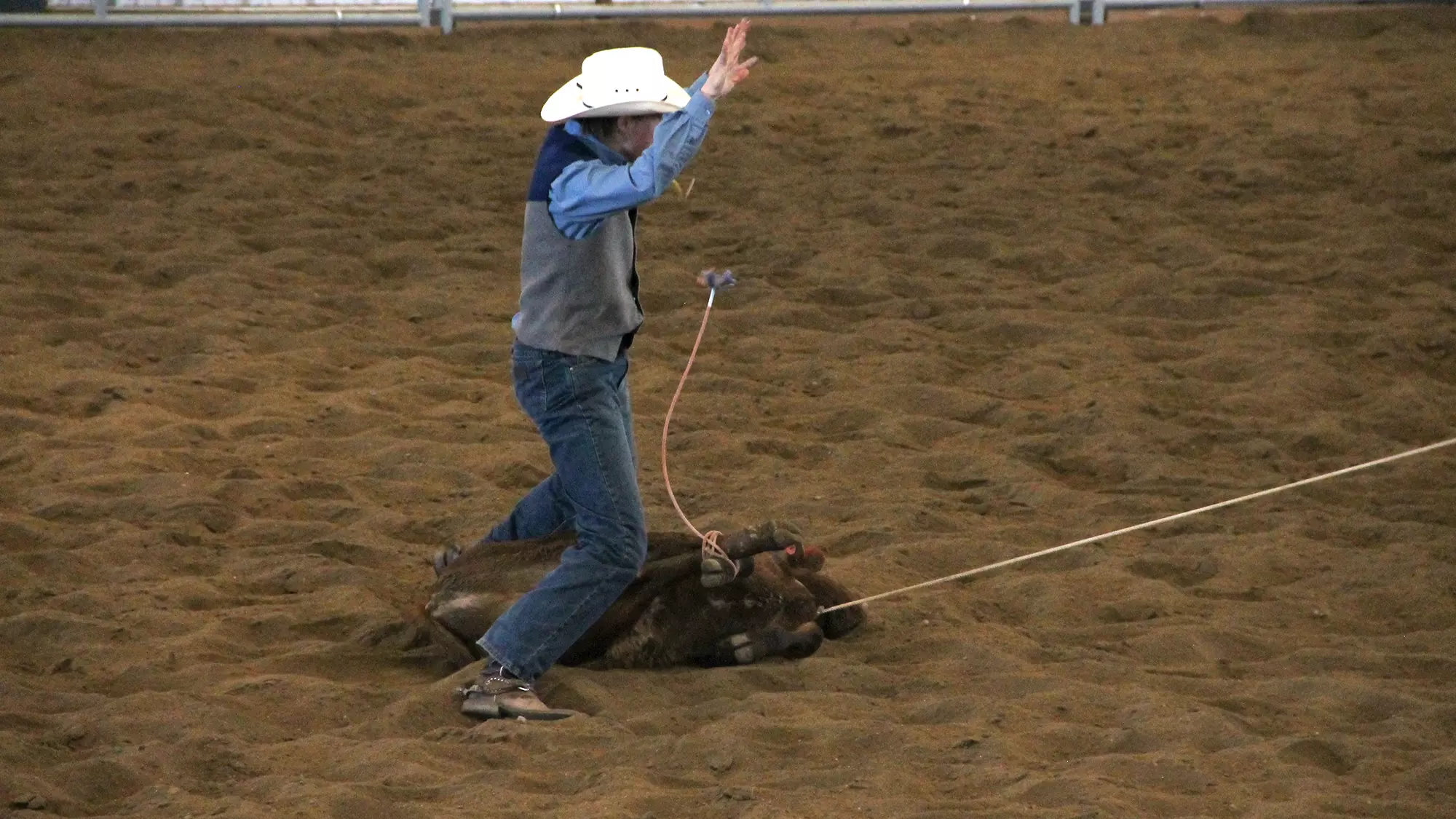 Colton Allen Roping Colton Johns - 2017-18 - Men's Rodeo - University of Providence Athletics