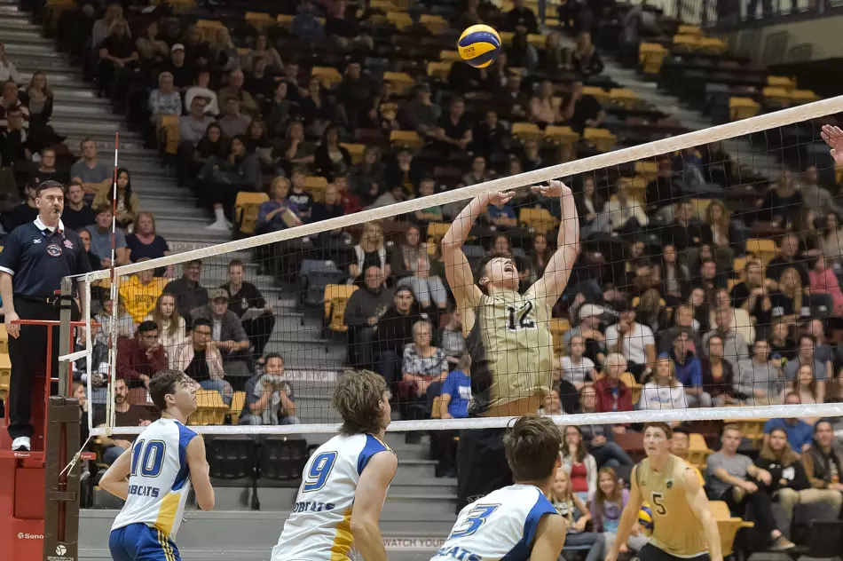 Dustin Spiring Image Bison volleyball teams host weekend series against MacEwan on November ...