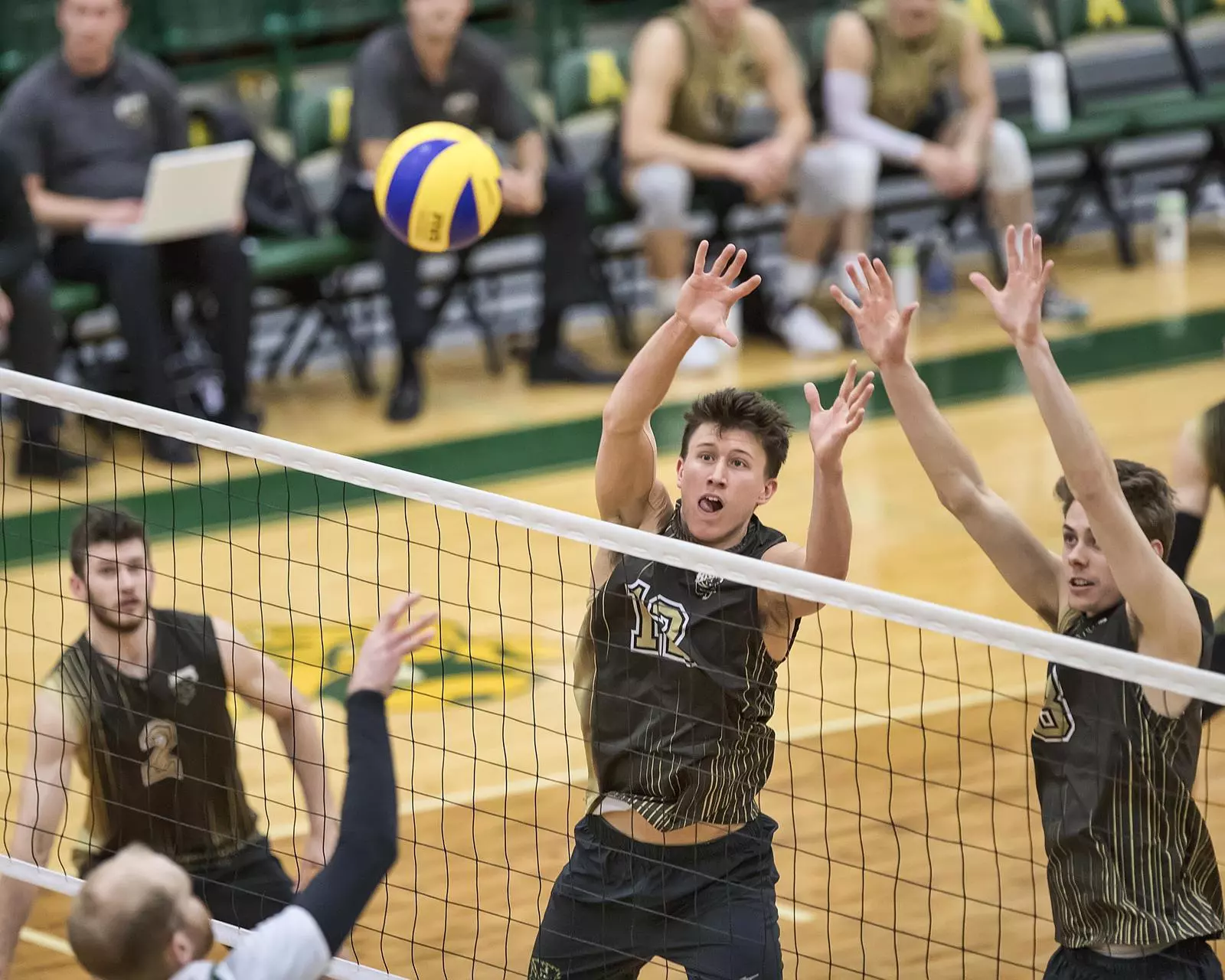 Dustin Spiring Image Dustin Spiring - Men's Volleyball - University of Manitoba Athletics