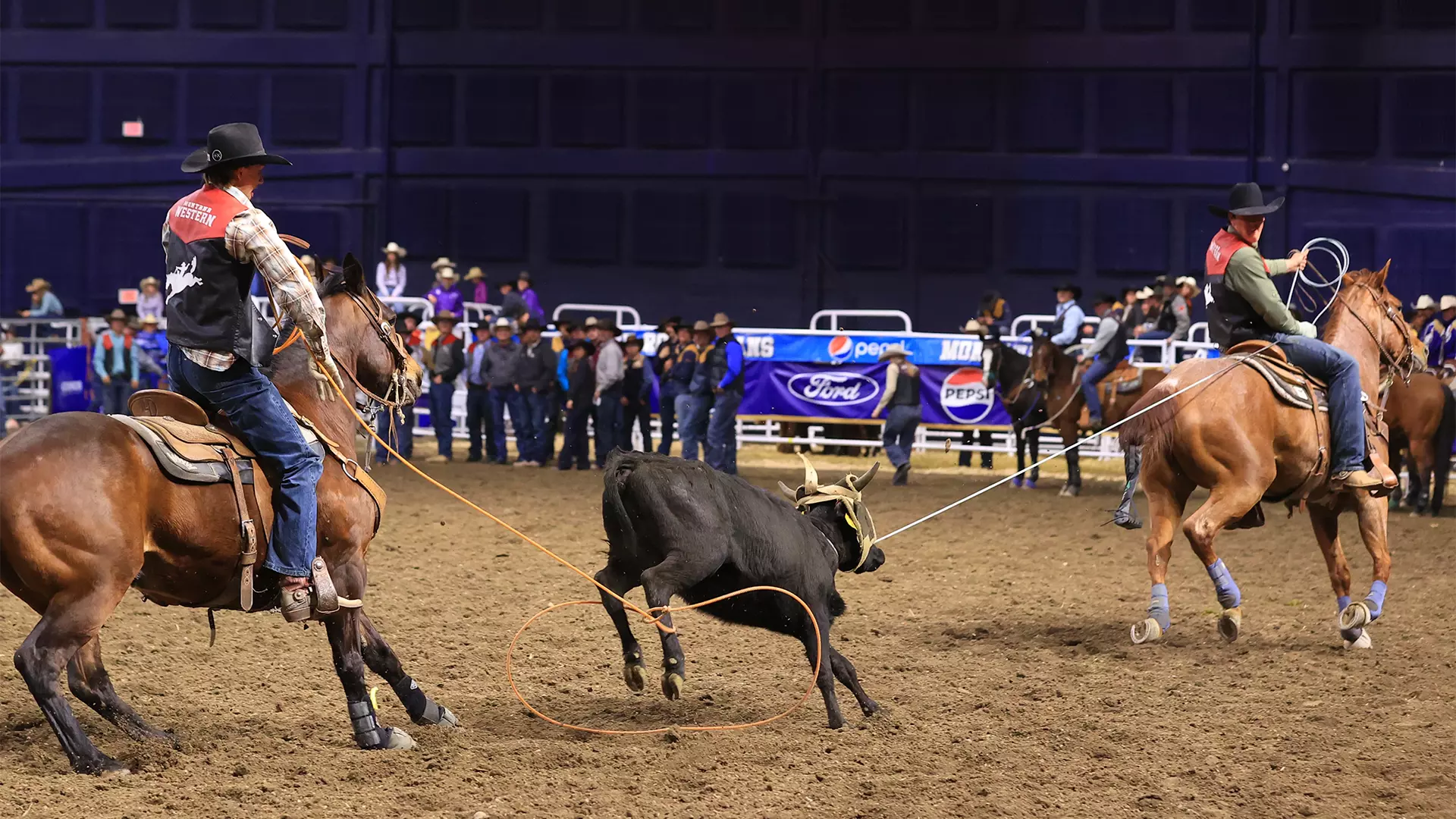 Msvu Rodeo UMW Men’s Rodeo Finishes Second, Women Place Fourth at MSU Spring Rodeo ...