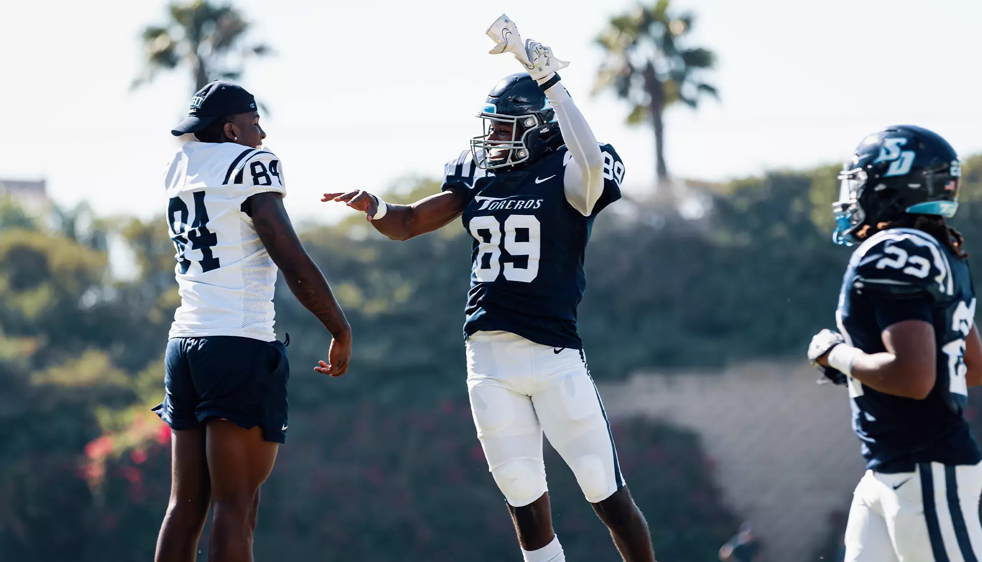 Ja'seem Reed - Football - University of San Diego Athletics
