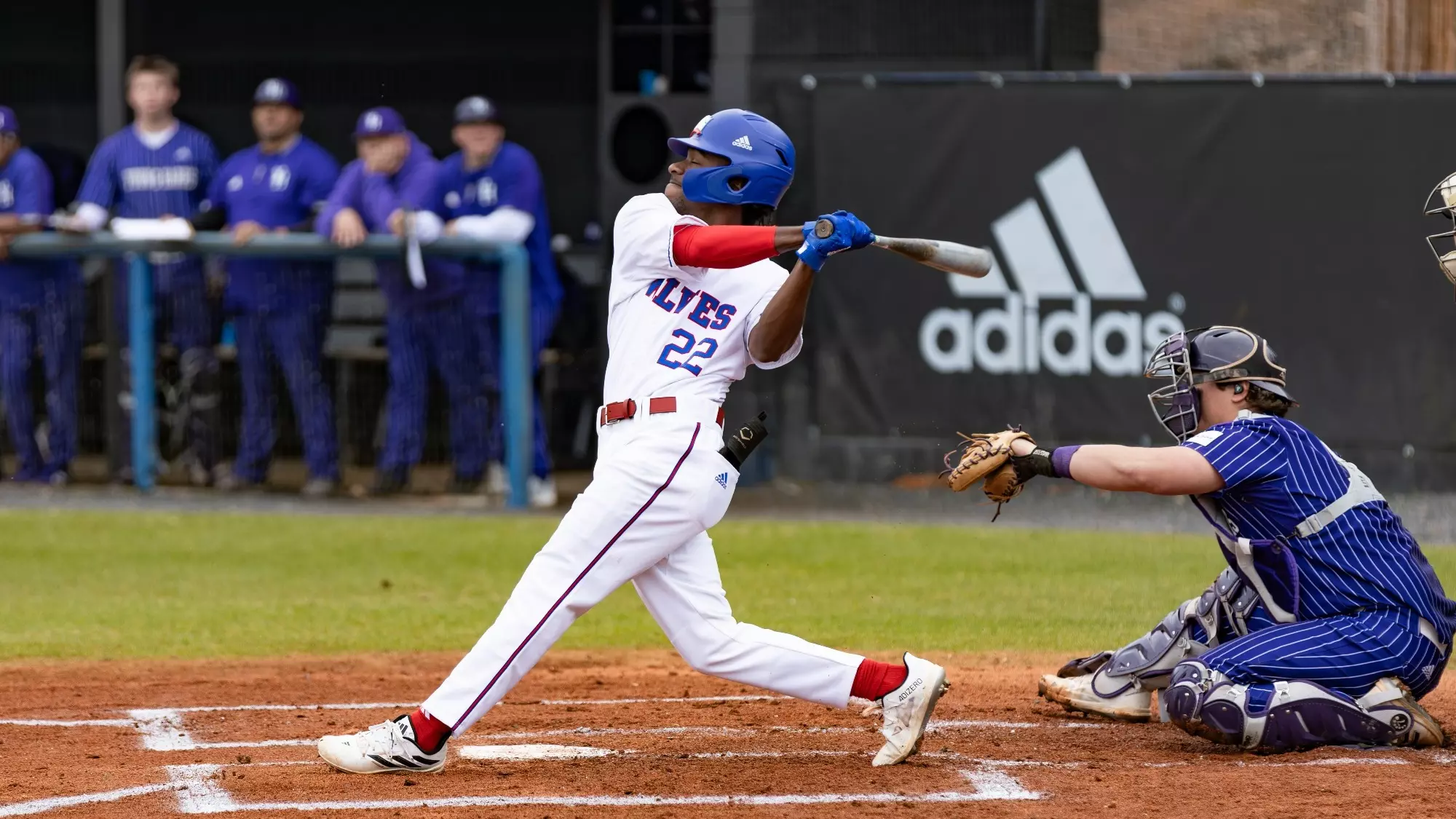Myles Cook Myles Cook - 2024 - Baseball - UWG Wolves | Athletic Programs ...