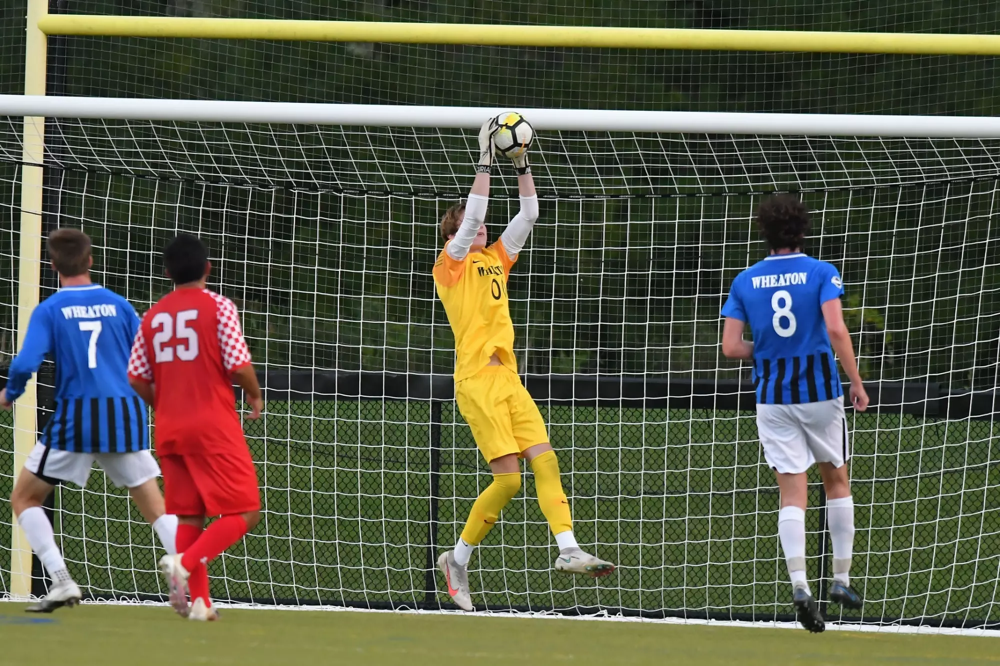 Chris Housel Chris Housel - 2024 - Men's Soccer - Wheaton College (MA)