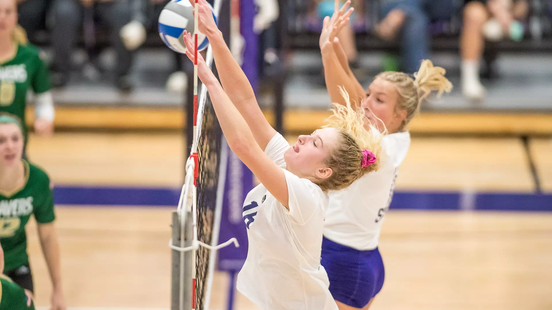 Madison Larson Madison Larson - Women's Volleyball - Winona State University Athletics