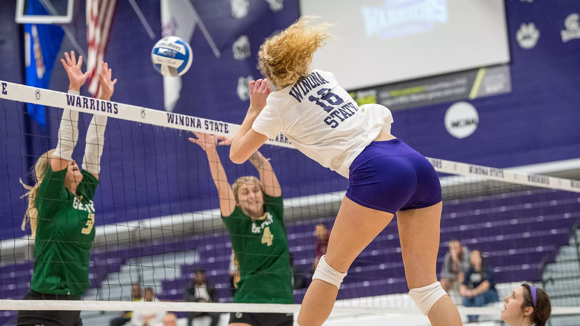 Madison Larson Madison Larson - Women's Volleyball - Winona State University Athletics