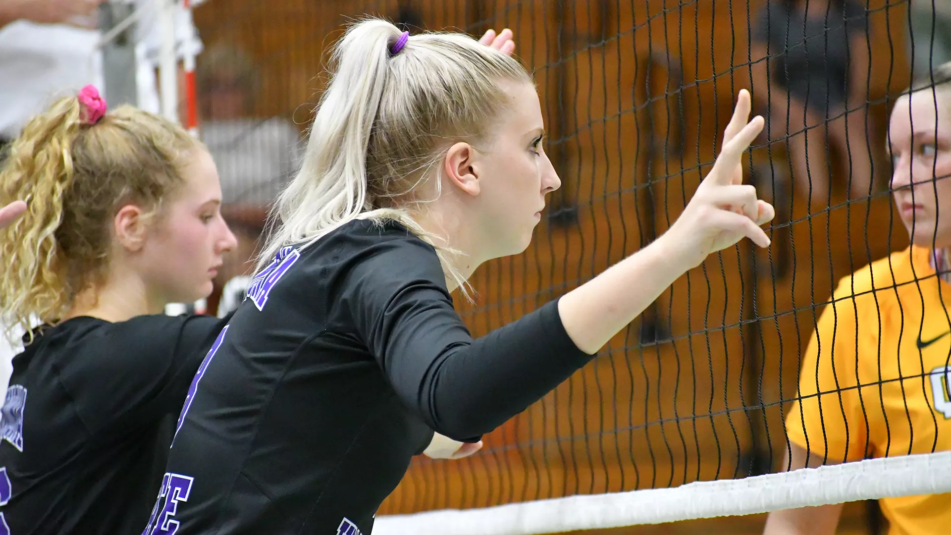 Madison Larson Madison Larson - Women's Volleyball - Winona State University Athletics