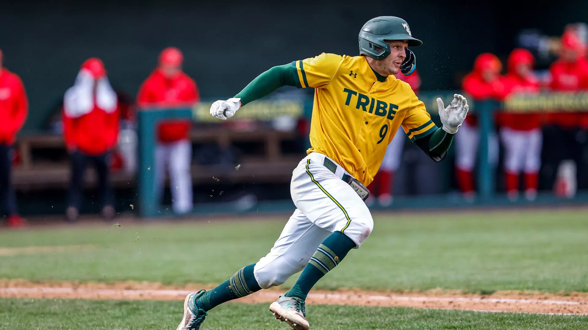 Ben Williamson - 2023 - Baseball - William & Mary Athletics