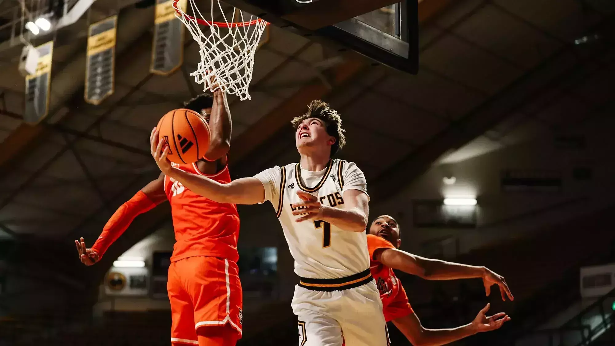 Carson Vis Carson Vis - Men's Basketball - Western Michigan University Athletics