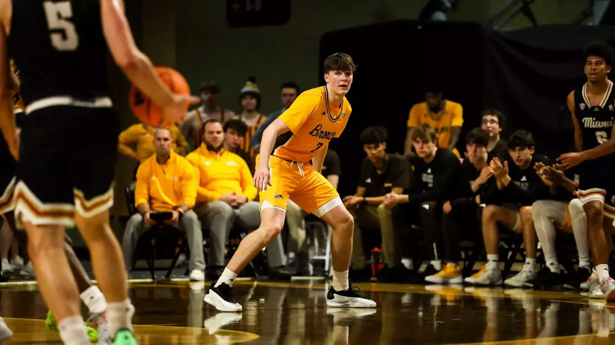 Carson Vis Carson Vis - Men's Basketball - Western Michigan University Athletics