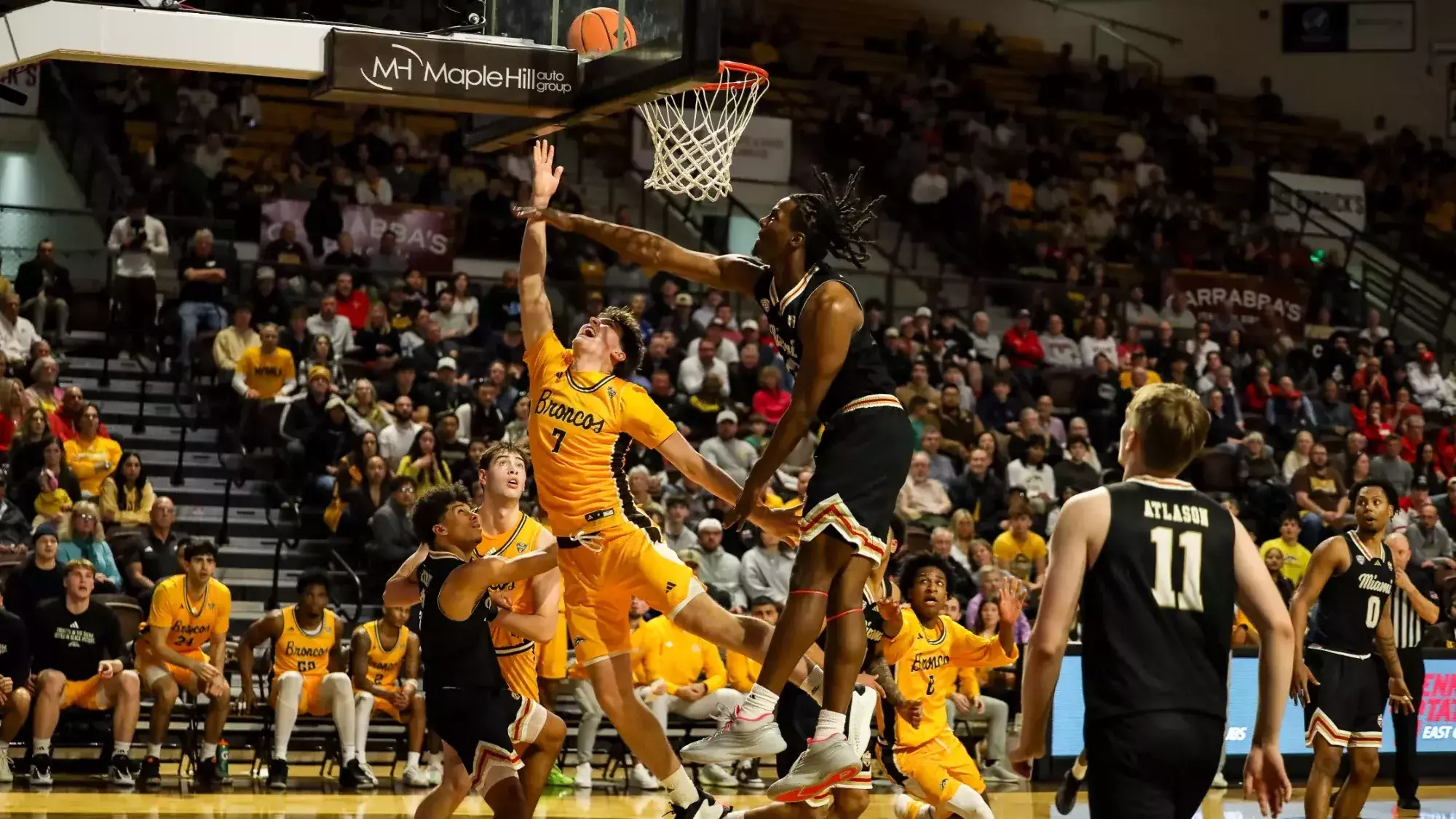 Carson Vis Carson Vis - Men's Basketball - Western Michigan University Athletics