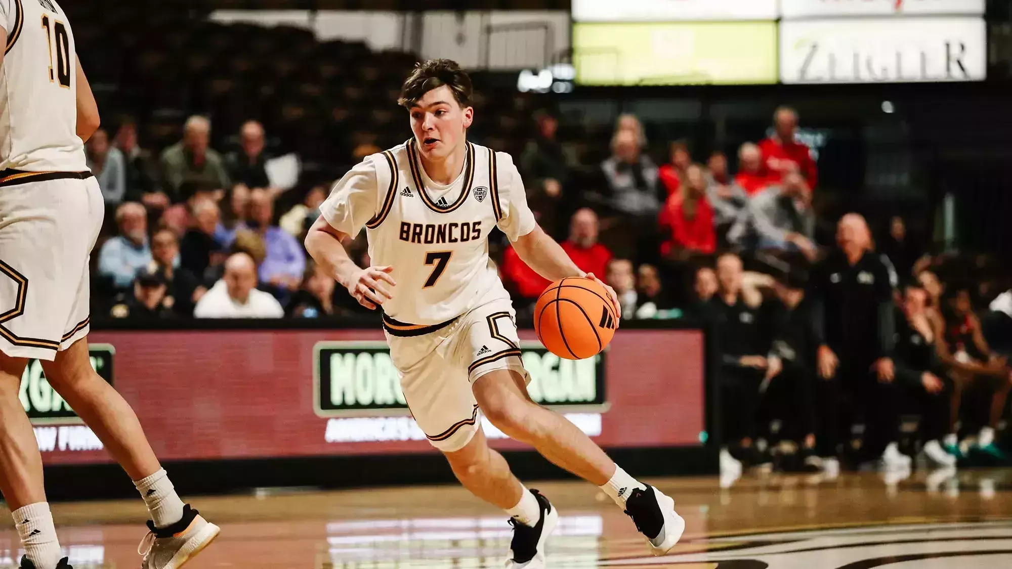 Carson Vis Carson Vis - Men's Basketball - Western Michigan University Athletics