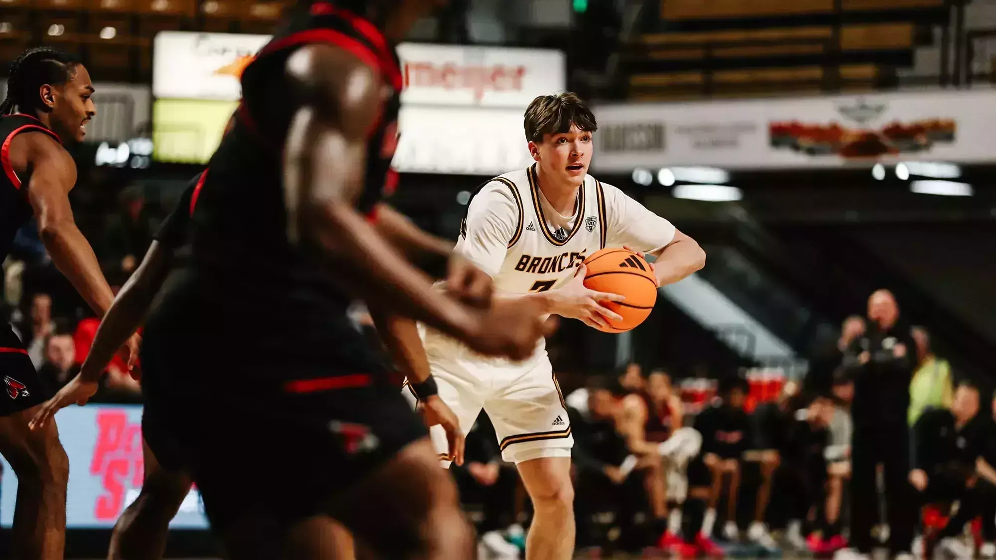Carson Vis Carson Vis - Men's Basketball - Western Michigan University Athletics