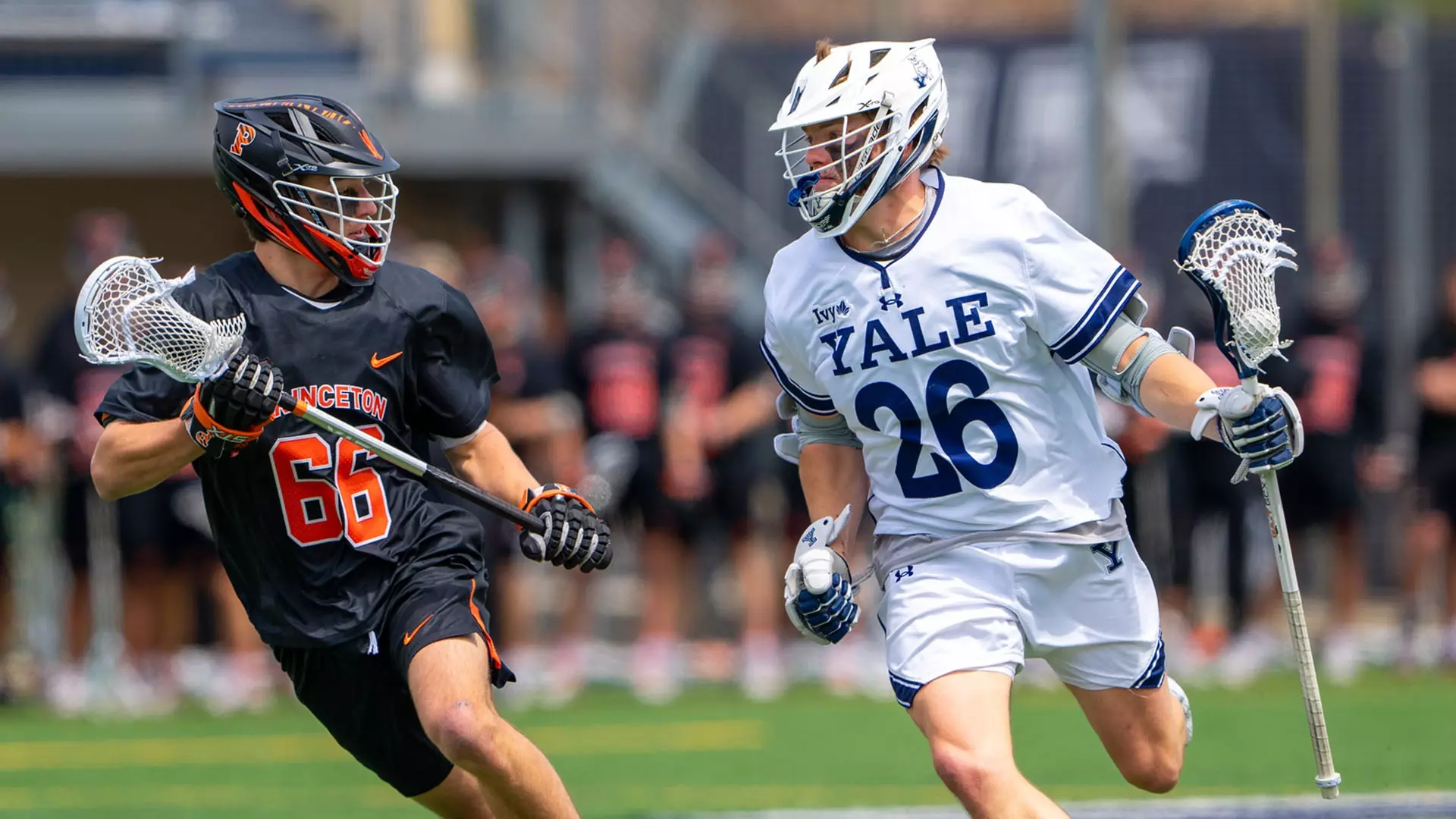 Matthew Hackler Bulldogs Get Rematch with Princeton in Ivy Tournament - Yale University
