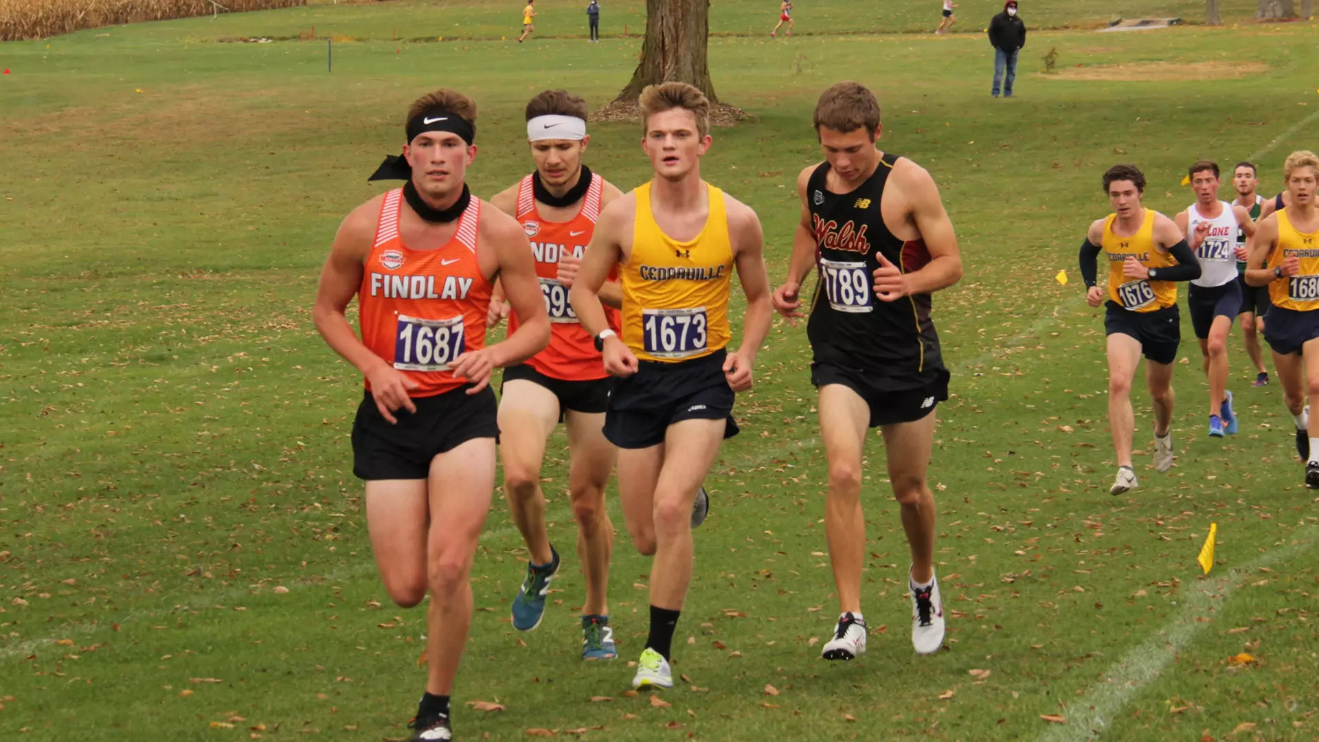 Colin Cramer Colin Cramer - Men's Cross Country - Cedarville University Athletics