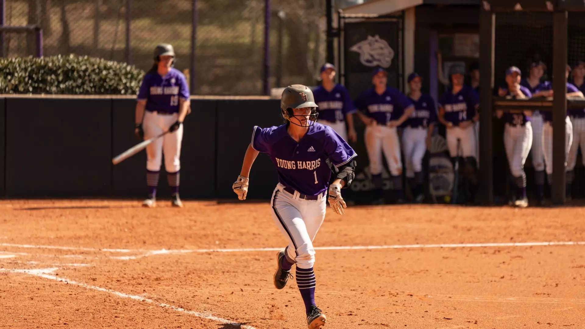Dev Harris Mountain Lions Split Double Header with Warriors - Young Harris College ...