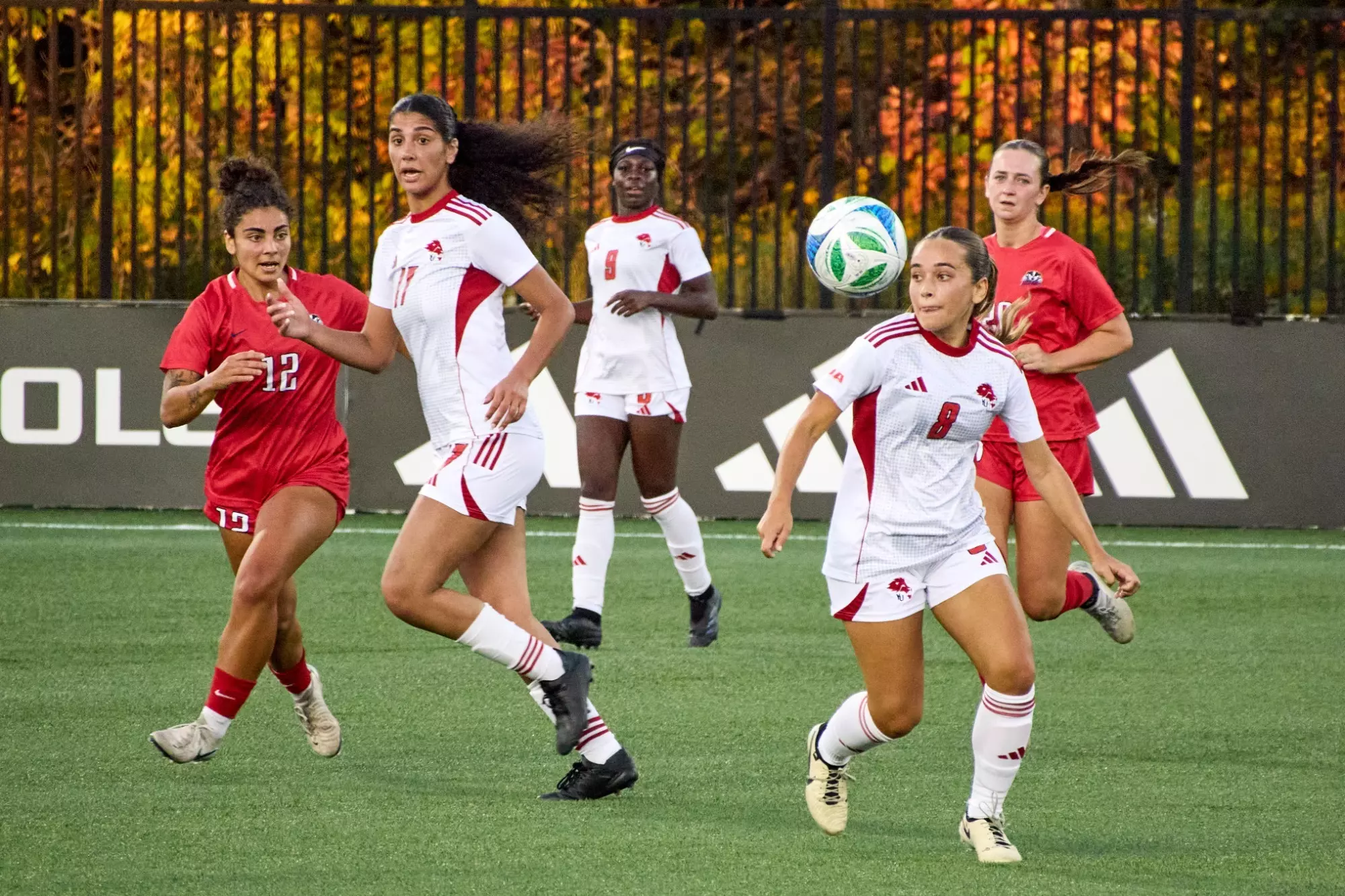 LIONS BATTLE TO DRAW WITH BADGERS, KEEP PLAYOFF HOPES ALIVE - York ...