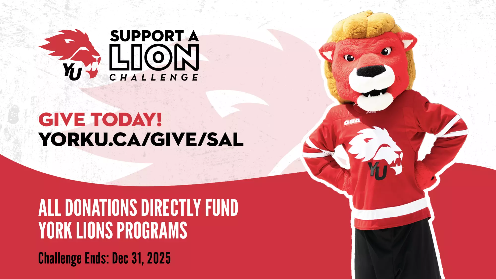 JOIN THE SUPPORT-A-LION CHALLENGE TODAY! - York University Athletics
