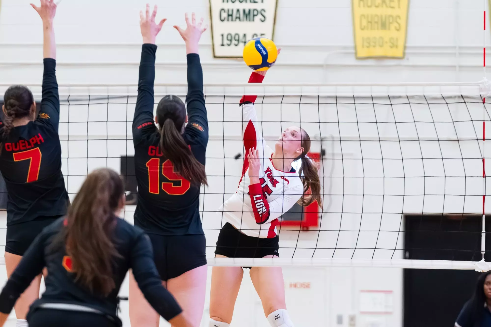 LIONS GO TOE-TO-TOE WITH GUELPH BUT FALL IN STRAIGHT SETS - York ...