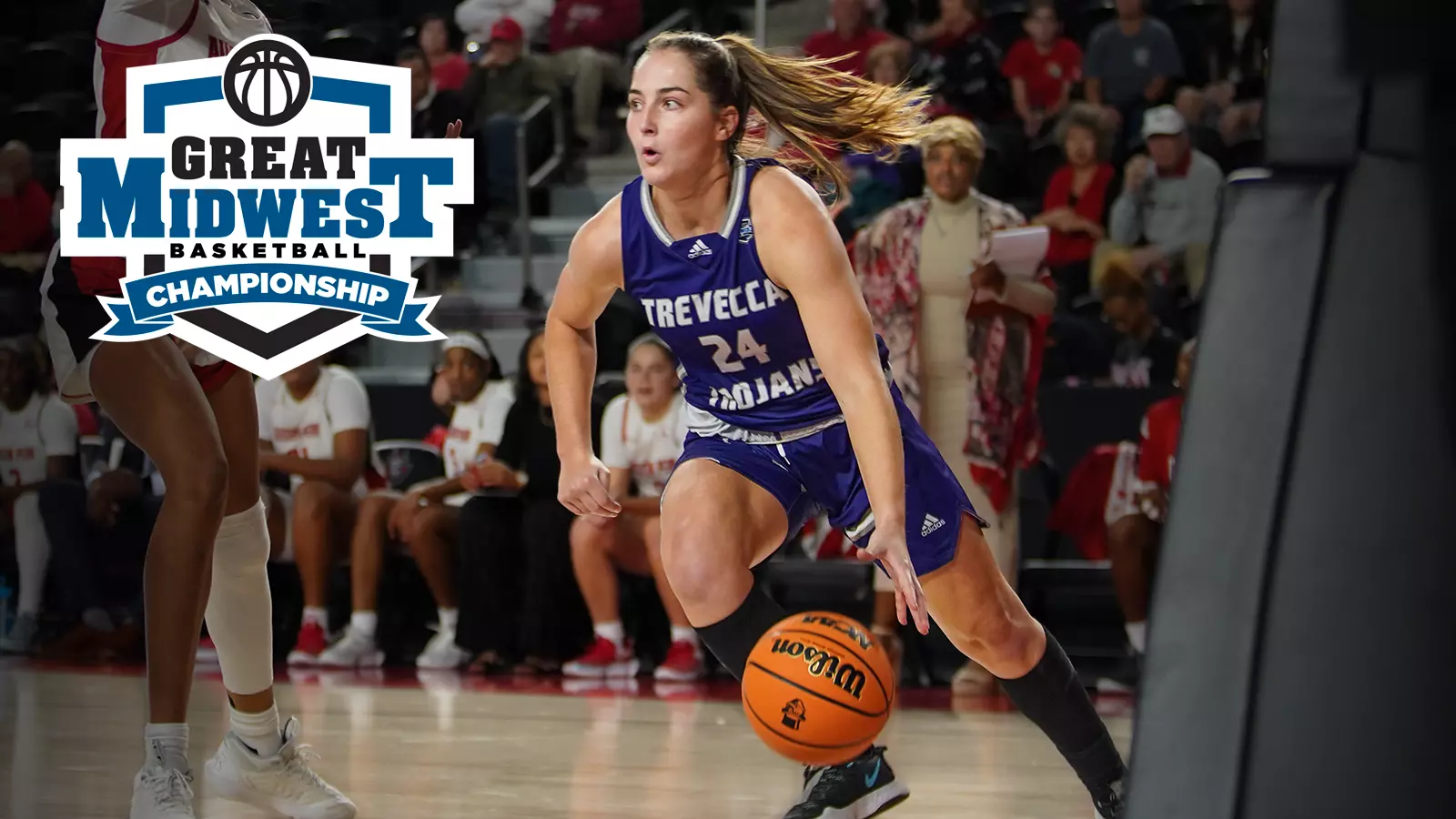 Carter basketball cheap