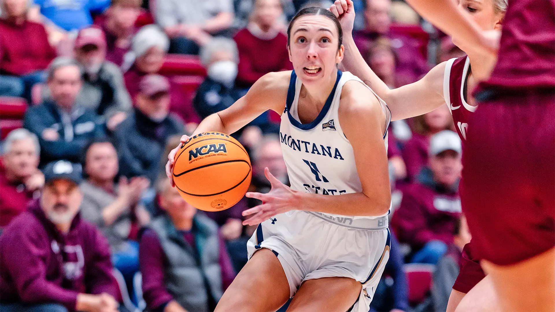 238KB 2001 null null null null 12 21 21 1 2003 null 7EDsaLGhieY5bM