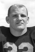 Ray Nitschke (2020) - Hall of Fame - University of Illinois Athletics