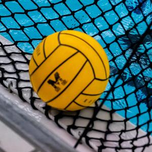 Water Polo Ball on Net Generic