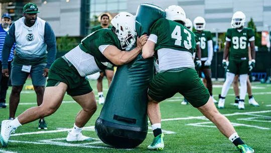 Sumo wrestling grand champion taking talents to CSU Rams football team