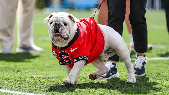 University of Georgia Athletics