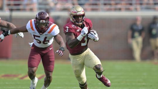 Florida State Seminoles Football - 