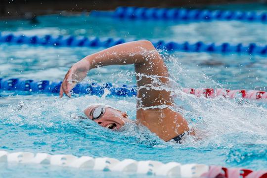 Image related to 'Dogs earn CSCAA Scholar All-America Team