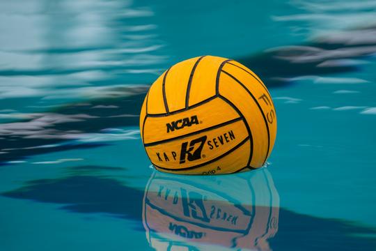 Image related to Trio of 'Dogs named Academic All-District®