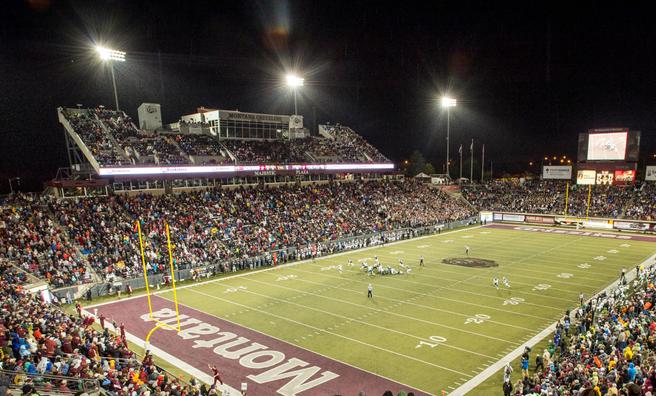 Colosseum University of Montana Grizzlies Youth No Fate Football